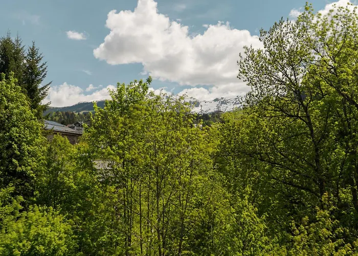 Cornec - Your In Megève